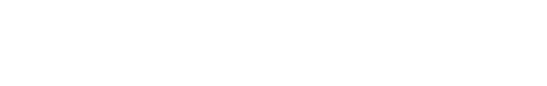 Seowritee logo